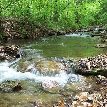 Cabin Creekwood Lyndhurst Екстериор снимка