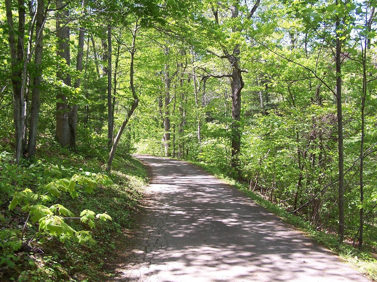 Cabin Creekwood Lyndhurst Екстериор снимка