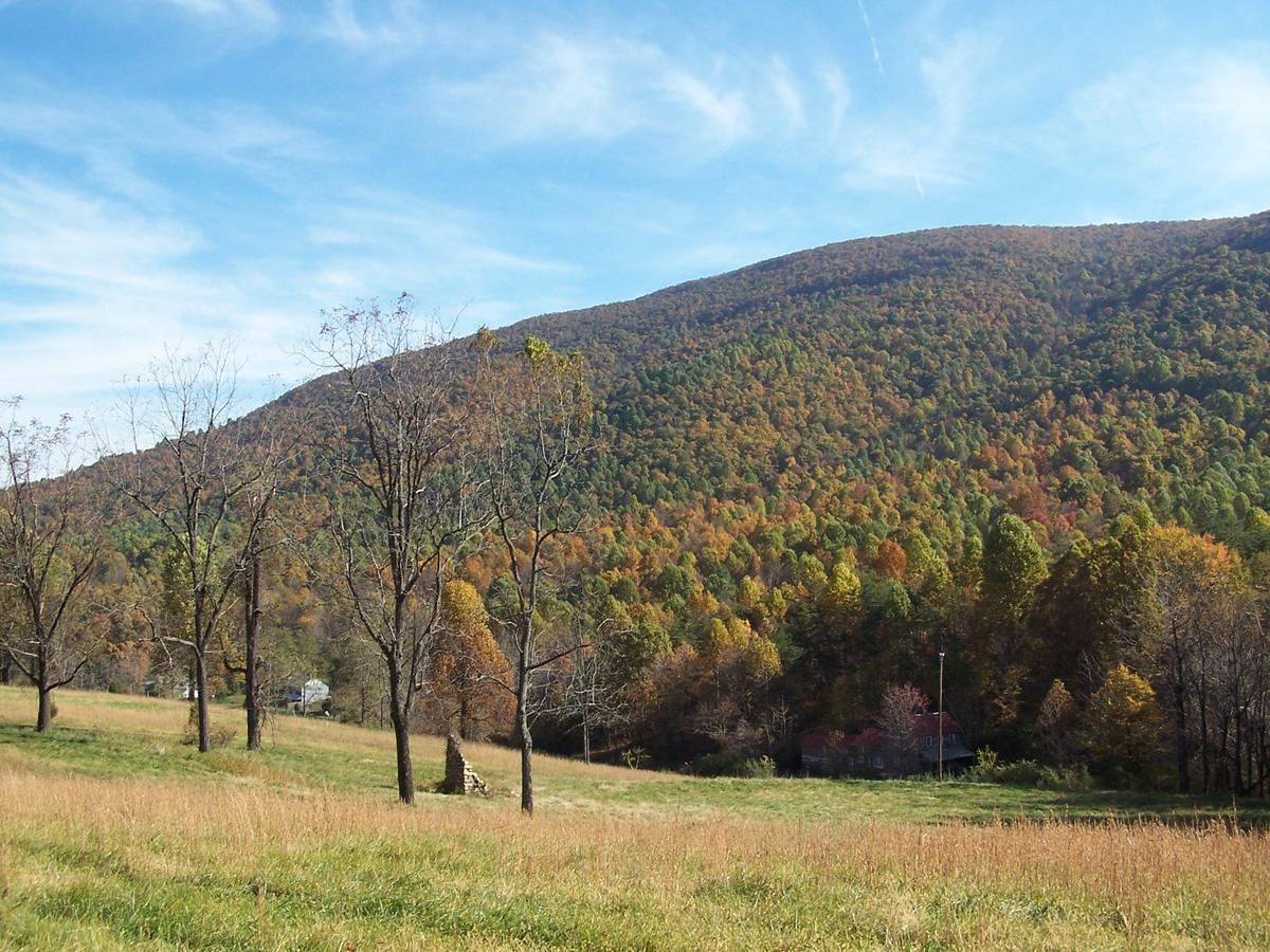 Cabin Creekwood Lyndhurst Екстериор снимка